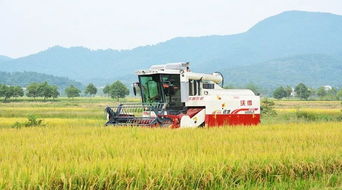 农机销售季 为国产品牌打call，助力农业现代化新征程